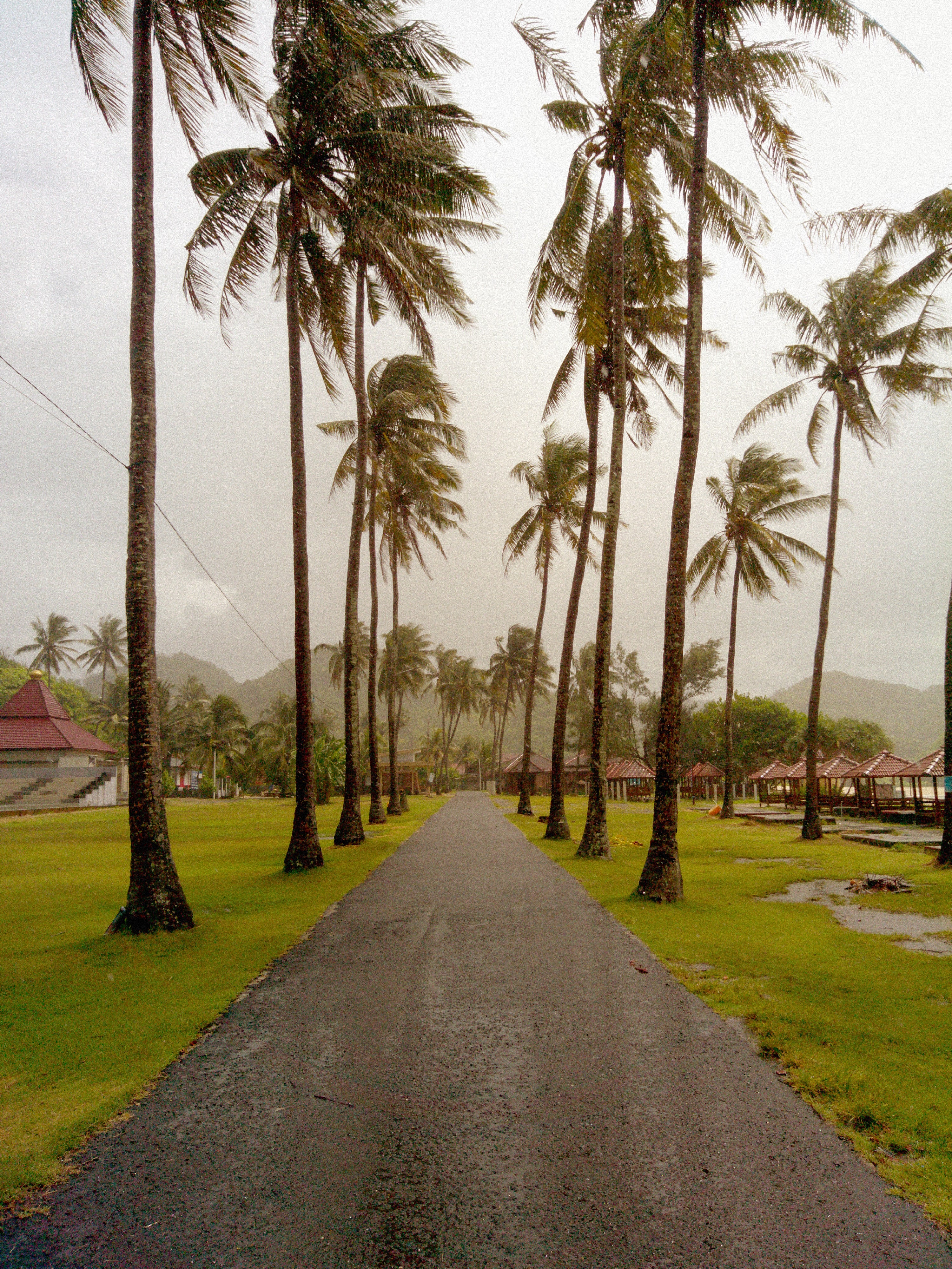 DSCF0067.JPG